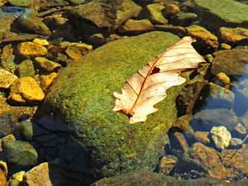 金沙2004线路检测